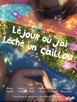 LE JOUR O&Ugrave; J'AI L&Eacute;CH&Eacute; UN CAILLOU