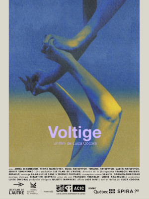 Voltige
