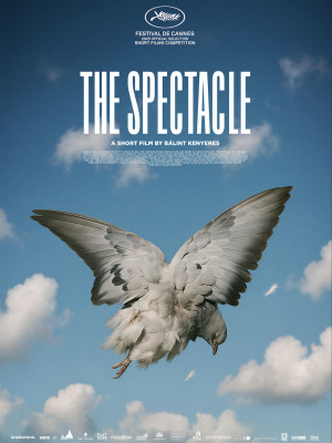 The Spectacle
