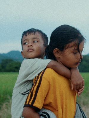 Les Fleurs du manguier
