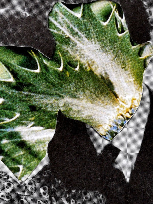 She Dolls with Dollies